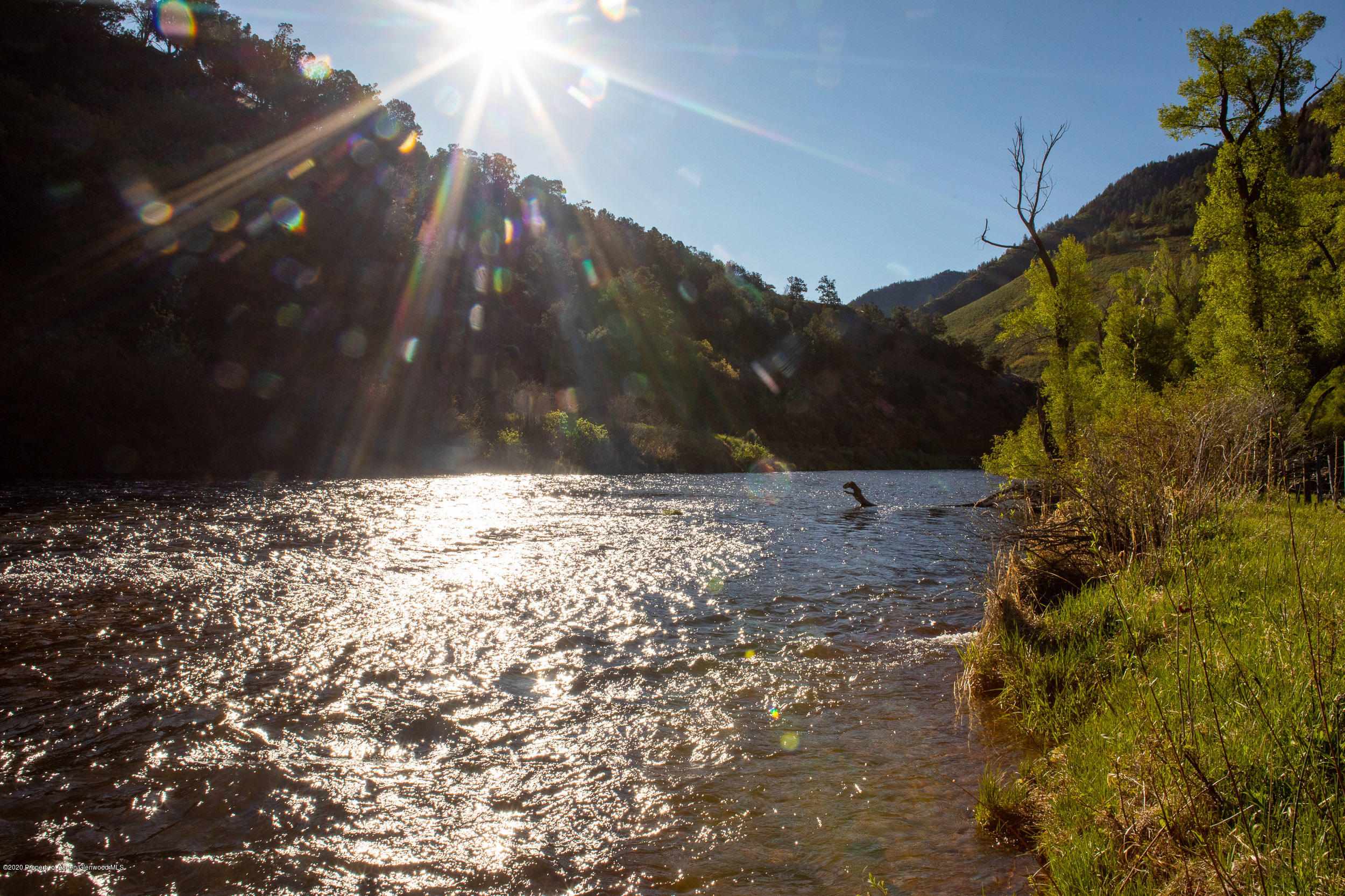 5700 Frying Pan Road Basalt, CO 81621 - Photo 29 of 45 Private River Frontage