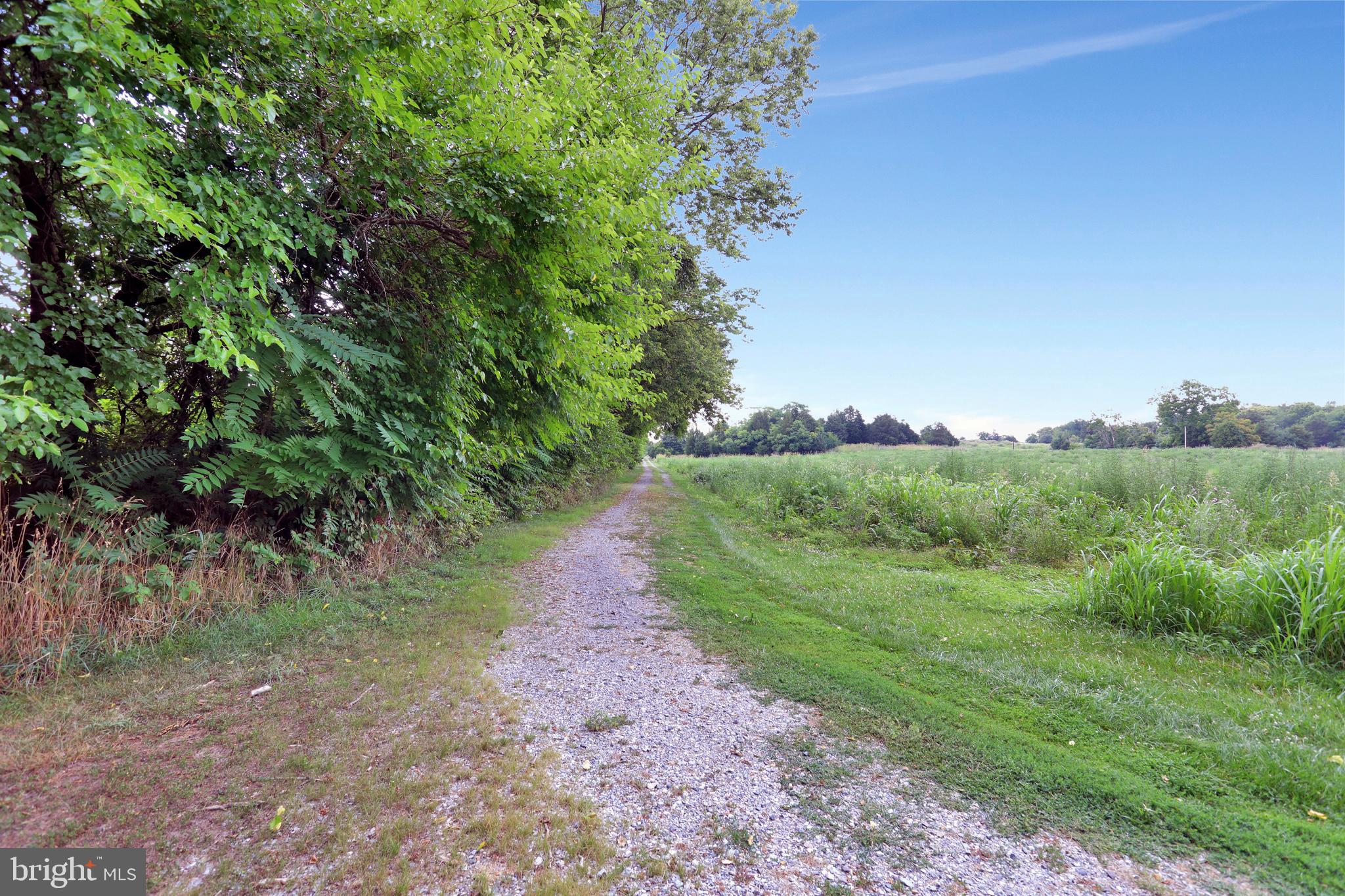 17163 Lappans Road Hagerstown, MD 21740 - Photo 62 of 75 Gallery Image 62