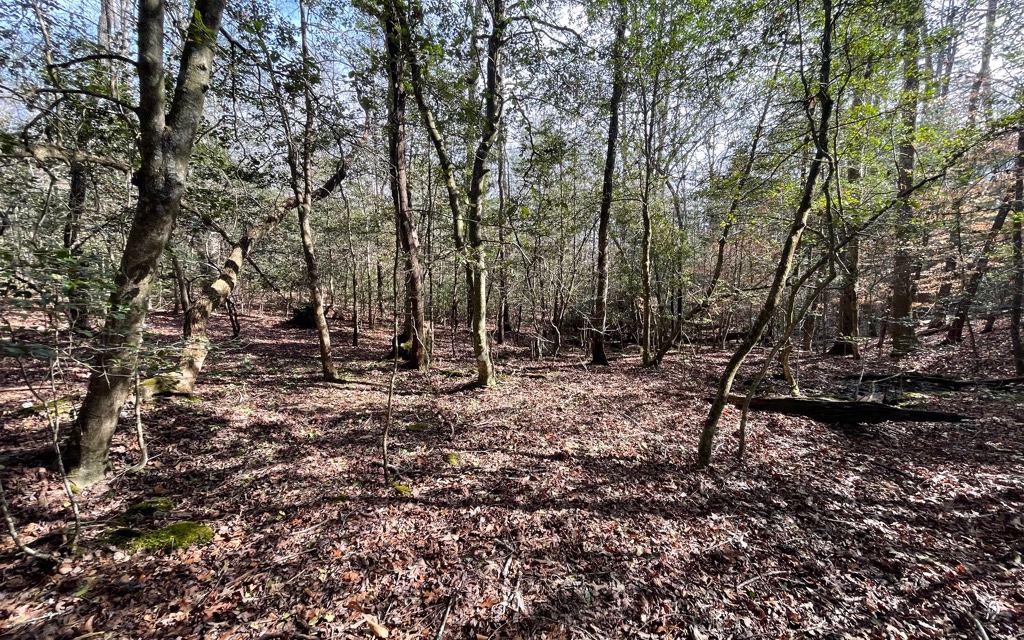5.9-ac Voylestown Road Morganton, GA 30560 - Photo 15 of 22 Additional View