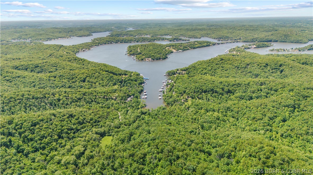 5-acres Pirates Pirates Cove Road Camdenton, MO 65020 - Photo 21 of 30
