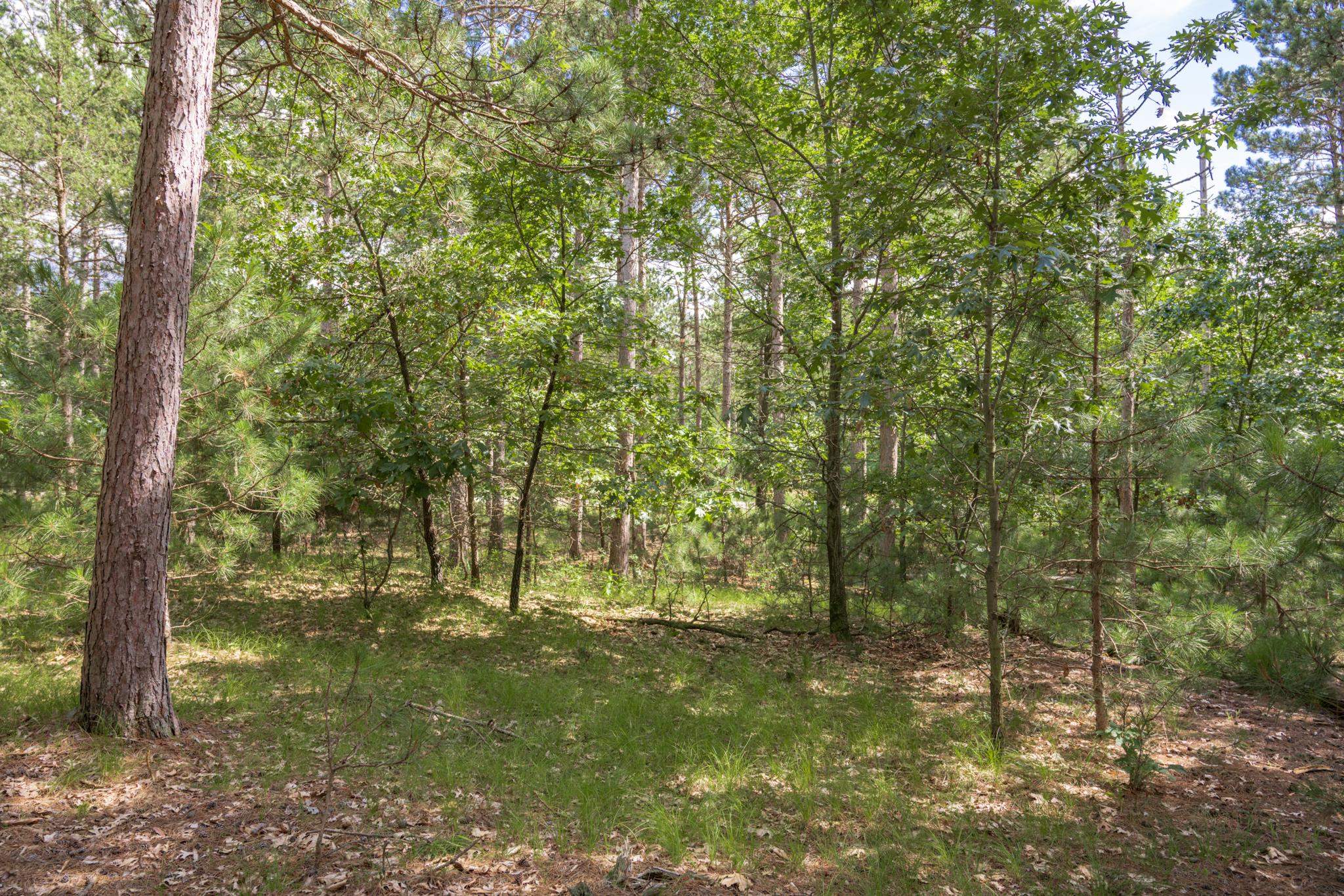 Lot 23 Dover Friendship, WI 53934 - Photo 6 of 15