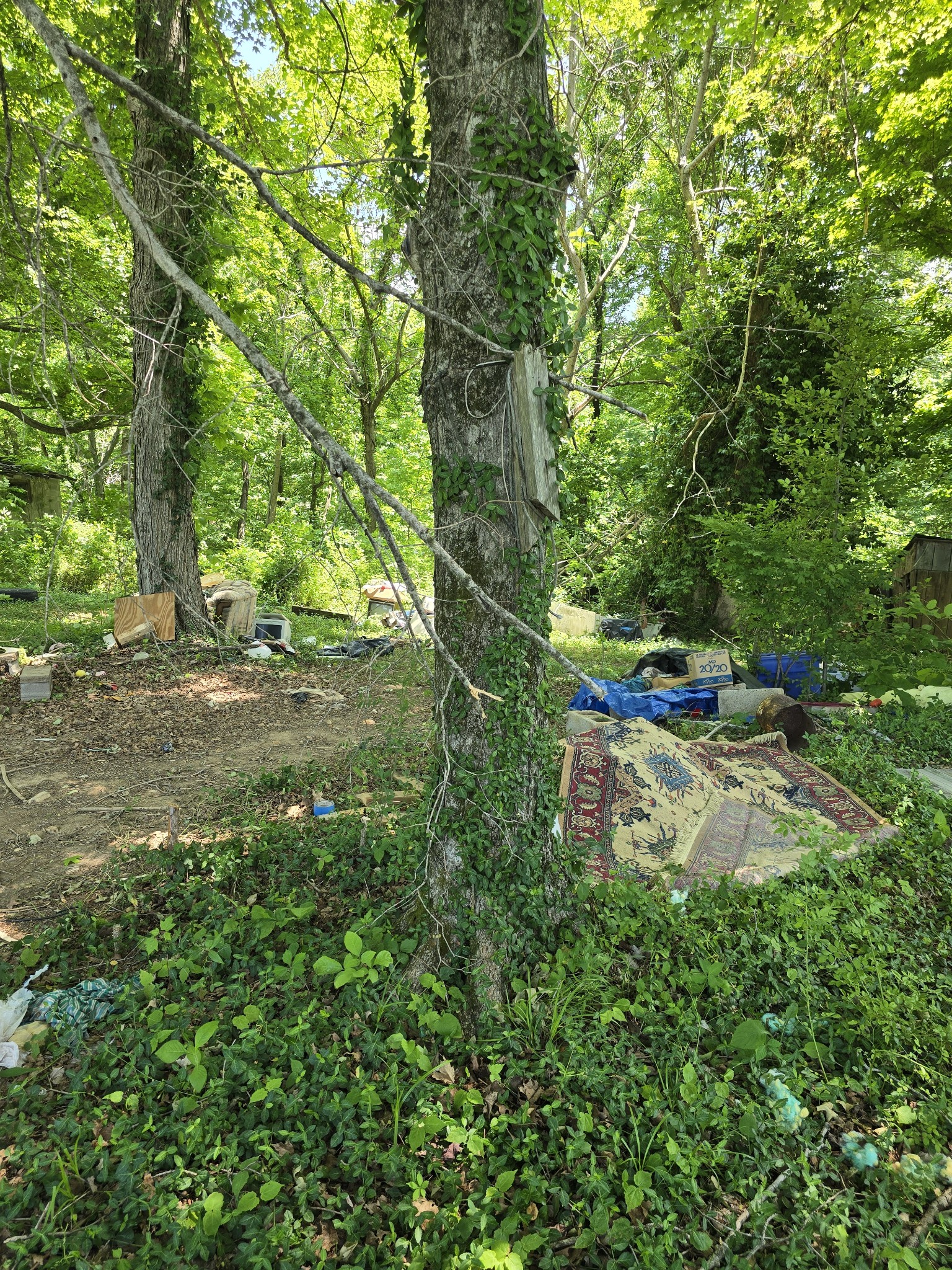 701 Stinson Road Bon Aqua, TN 37025 - Photo 38 of 57