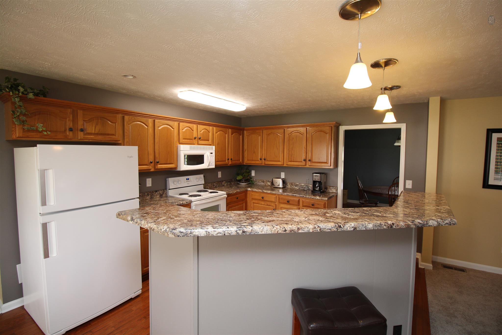 3926 John Lunn Road Spring Hill, TN 37174 - Photo 9 of 30 Gallery Image 9