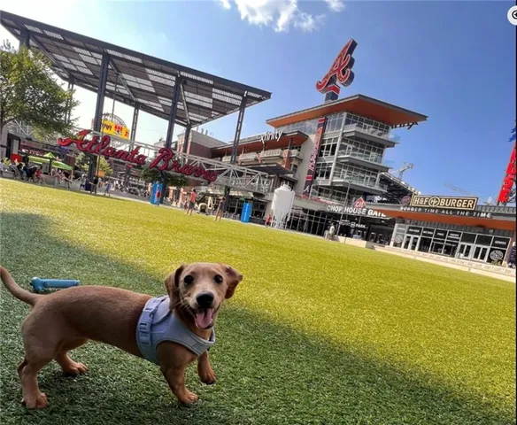 $675,000 | 2801 Avington Lane, Smyrna, GA 30080