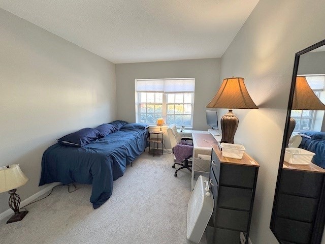 149 Lake Shore Road, Unit 2 Boston, MA 02135 - Photo 13 of 16