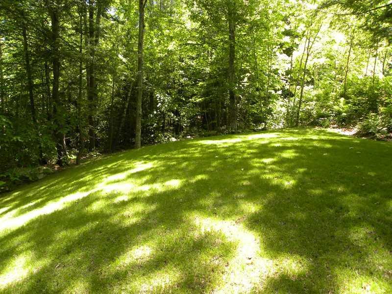 140 Hooper Pond Road Greene, ME 04236 - Photo 21 of 21 Yard/Garden.