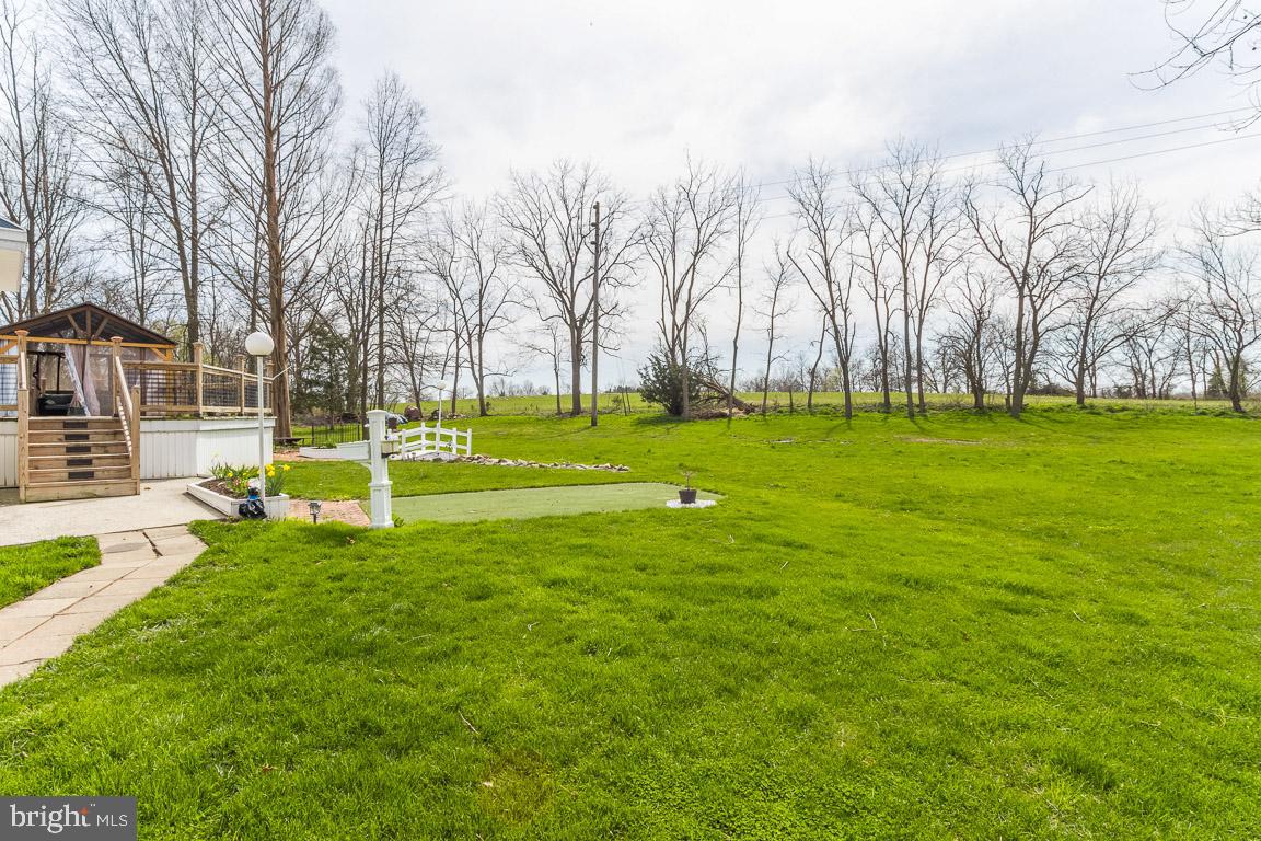 68 Trevanion Road Taneytown, MD 21787 - Photo 51 of 56 Beautiful backyard with putting green