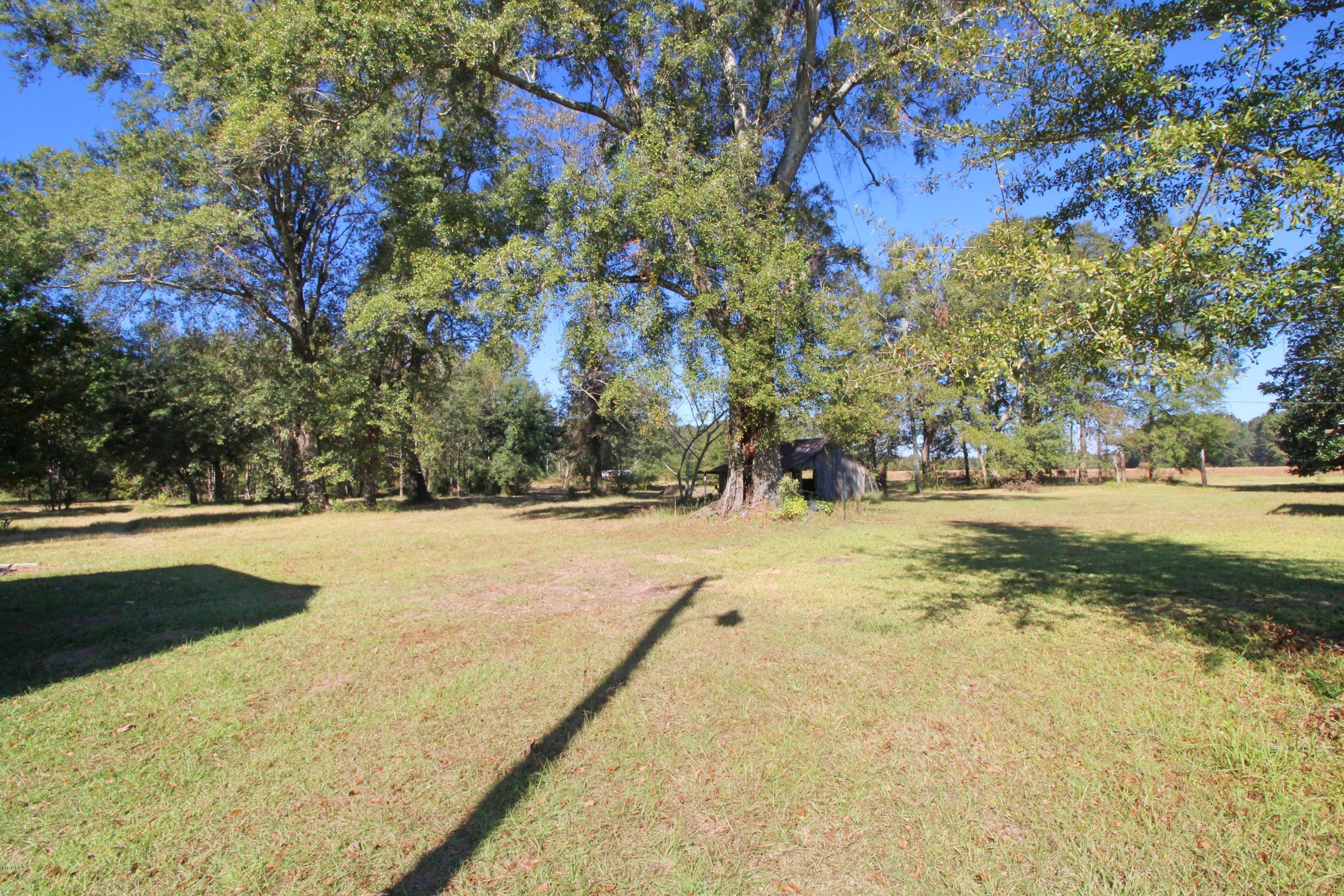 3261 Howell Tanner Chapel Road Lucedale, MS 39452 - Photo 29 of 45 Land