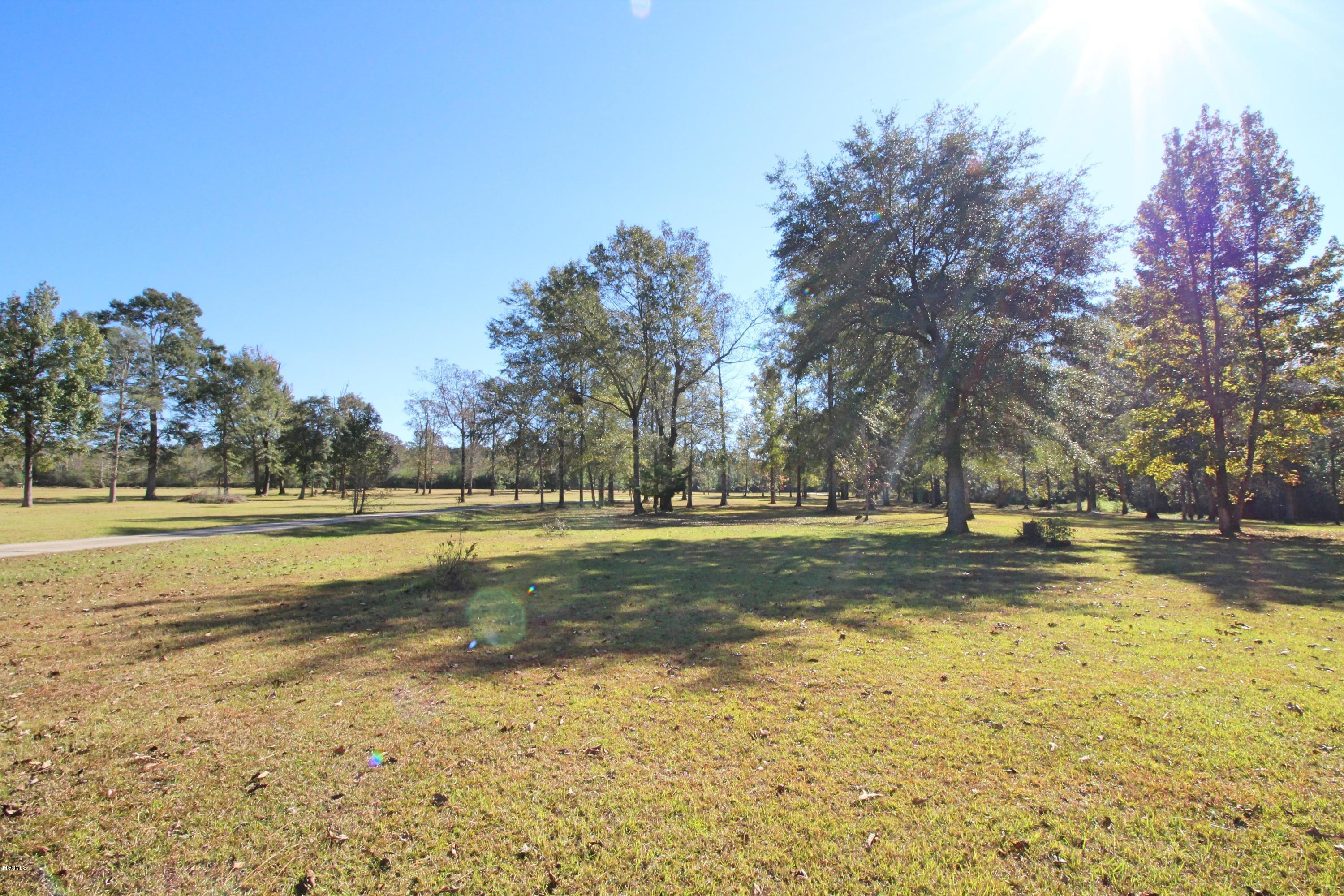 3261 Howell Tanner Chapel Road Lucedale, MS 39452 - Photo 3 of 45 Land