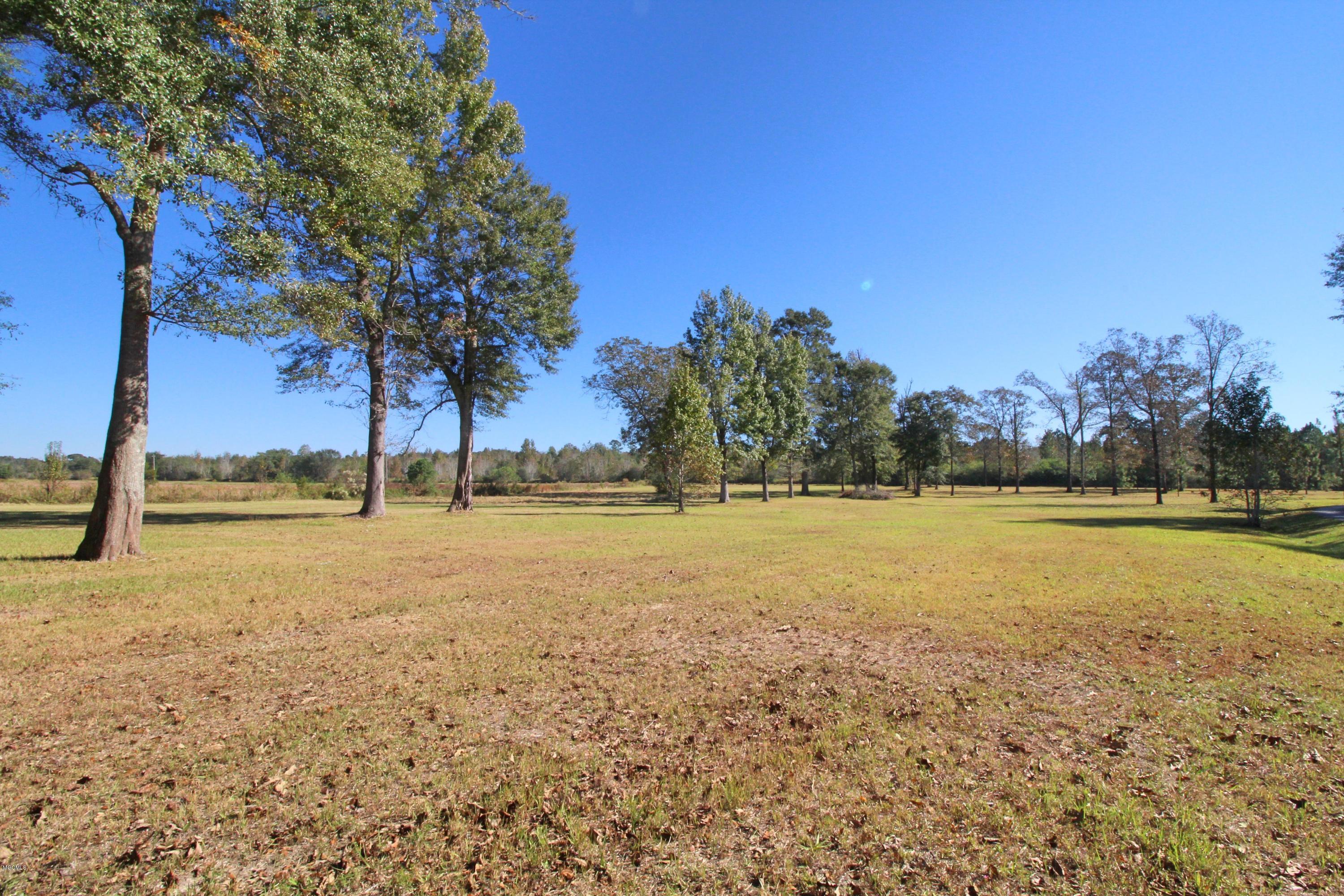 3261 Howell Tanner Chapel Road Lucedale, MS 39452 - Photo 37 of 45 Land