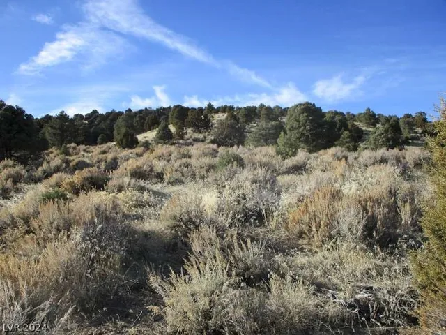 $250,250 | 322 (10.012 Ac), Pioche, NV 89043