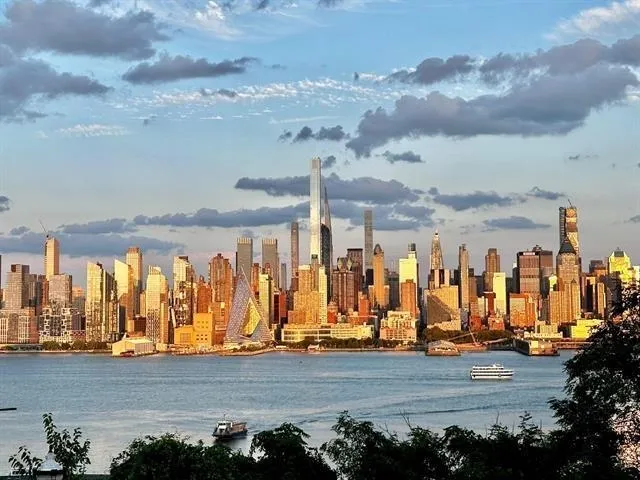 a view of large trees