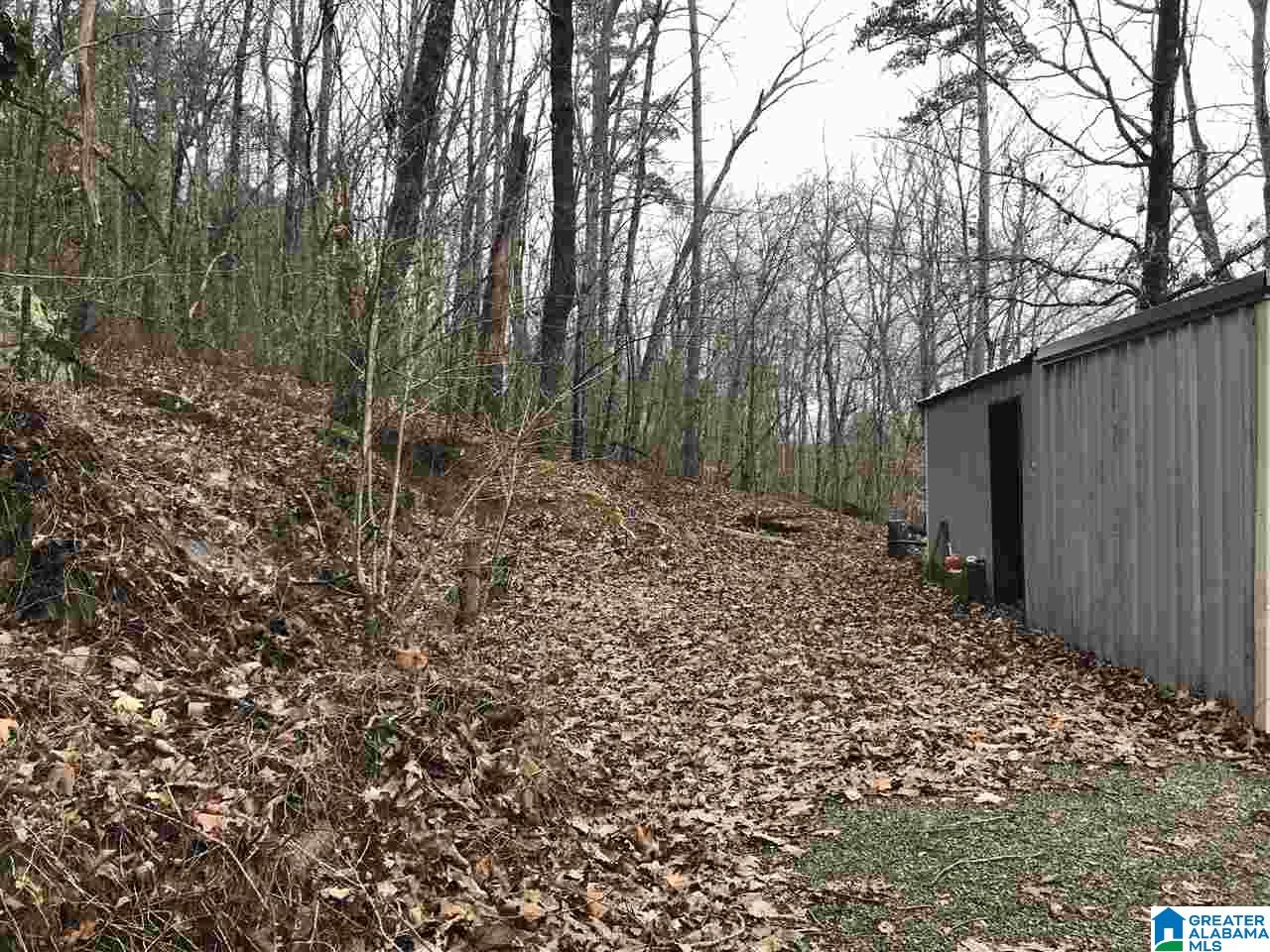 2660 Waldrop Road Ashville, AL 35953 - Photo 45 of 48