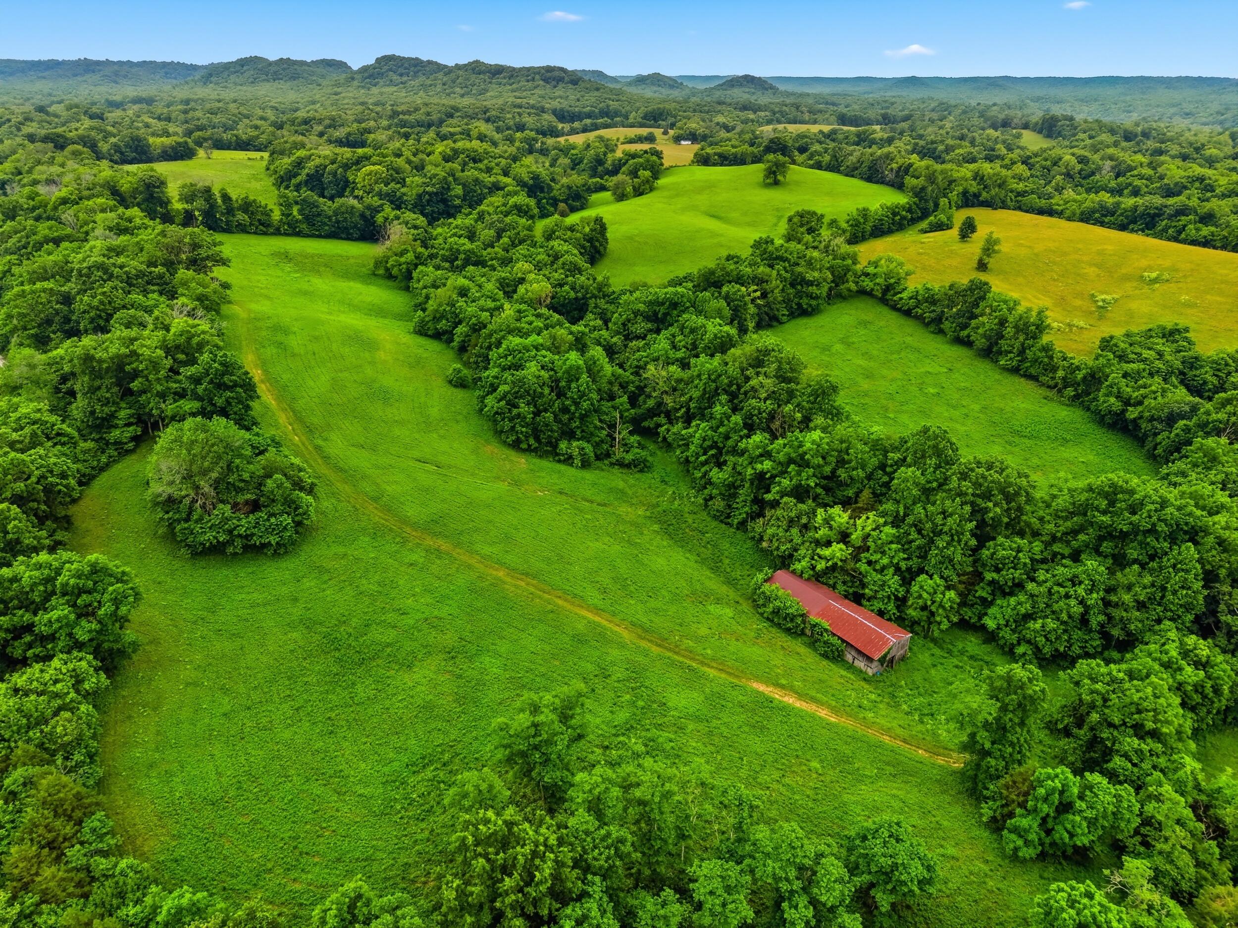 17412 Forkland Road Gravel Switch, KY 40328 - Photo 51 of 63 Forkland_drone_010