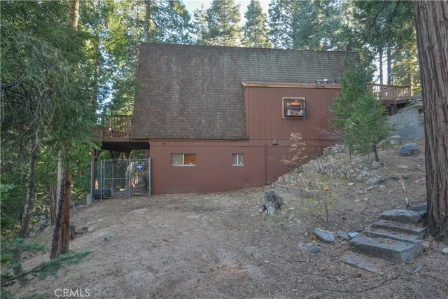 a view of a forest that has large trees