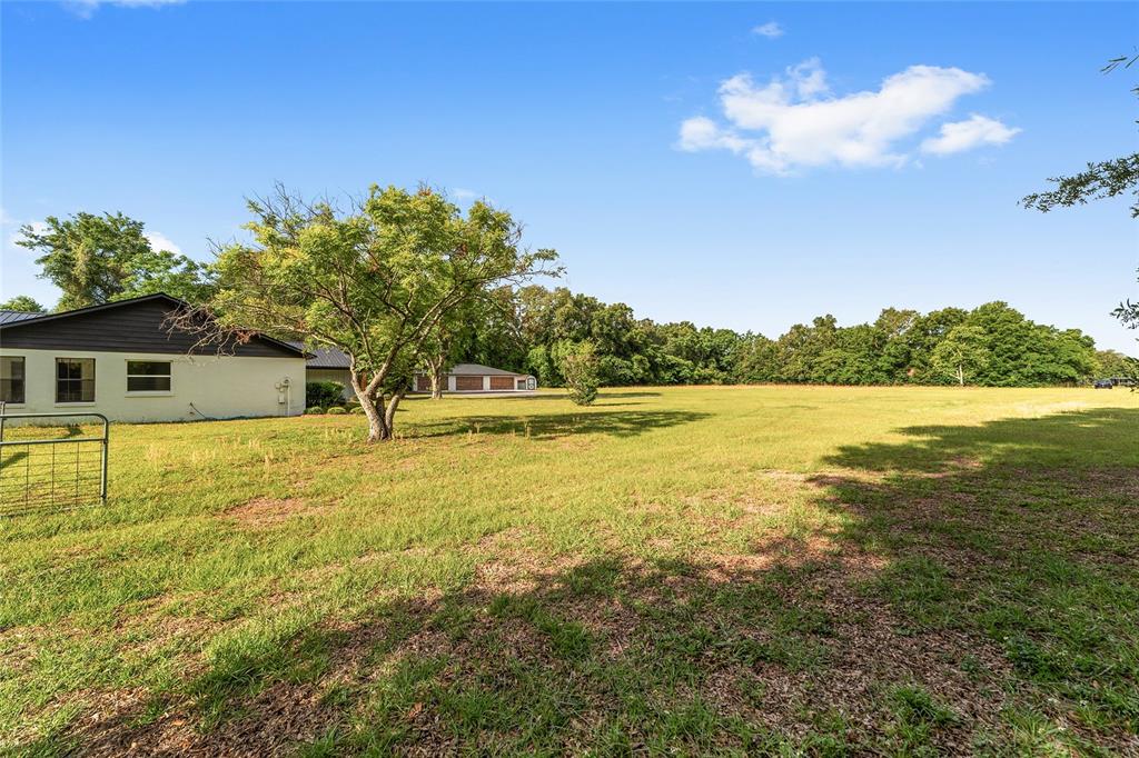 10575 Southwest 27th Avenue Ocala, FL 34476 - Photo 66 of 95
