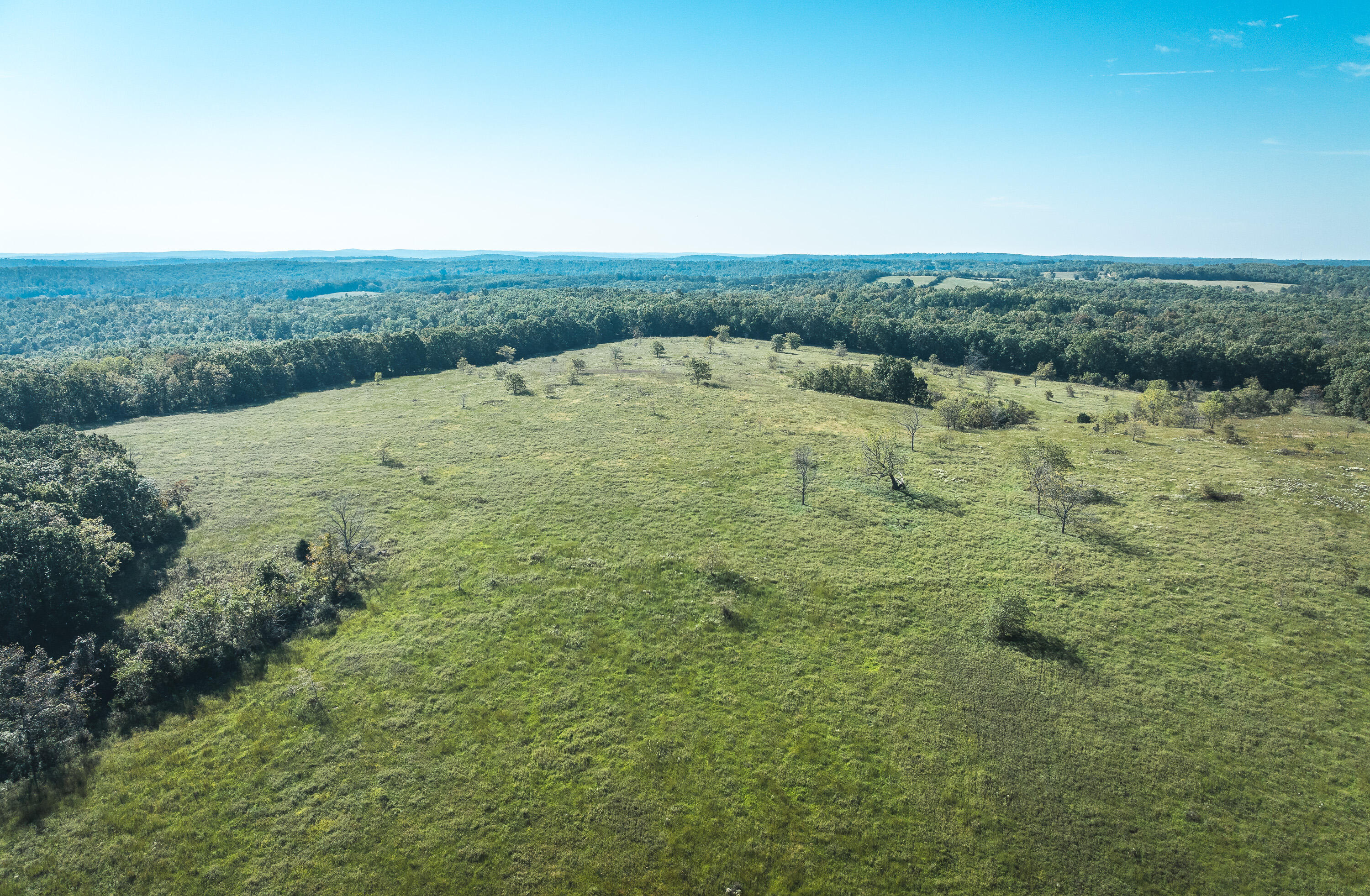 5451 Bado Road Cabool, MO 65689 - Photo 73 of 111 DJI_20240919100512_0201_D