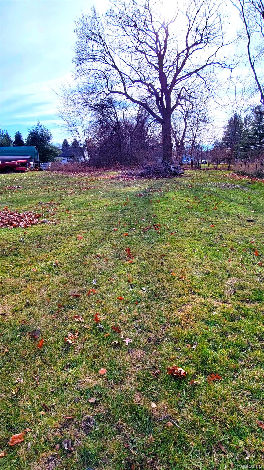 5050 North Nicholson Road Fowlerville, MI 48836 - Photo 8 of 24 Backyard