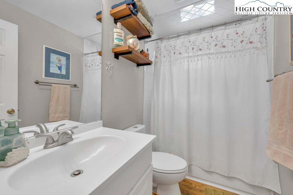 156 Olancha Avenue Boone, NC 28607 - Photo 11 of 23 a bathroom with a sink a toilet and shower curtain