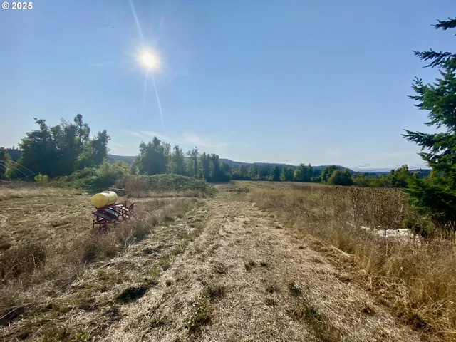 a view of a lake from a yard