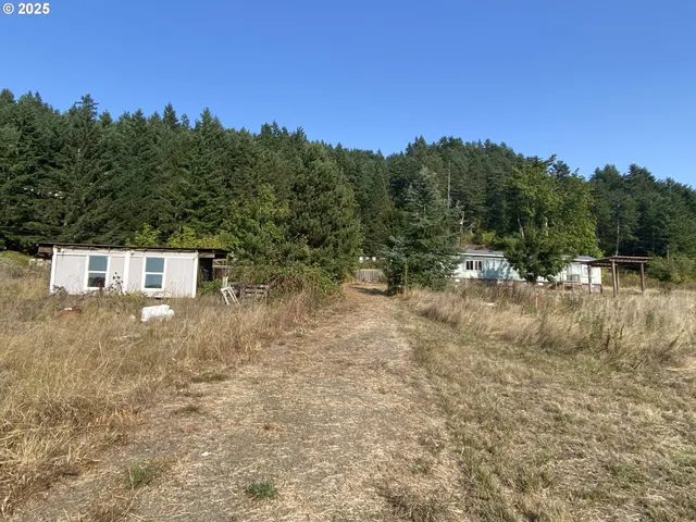 a view of a dry yard with wooden fence