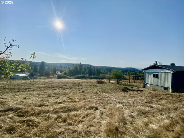 a view of a dry yard with wooden fence
