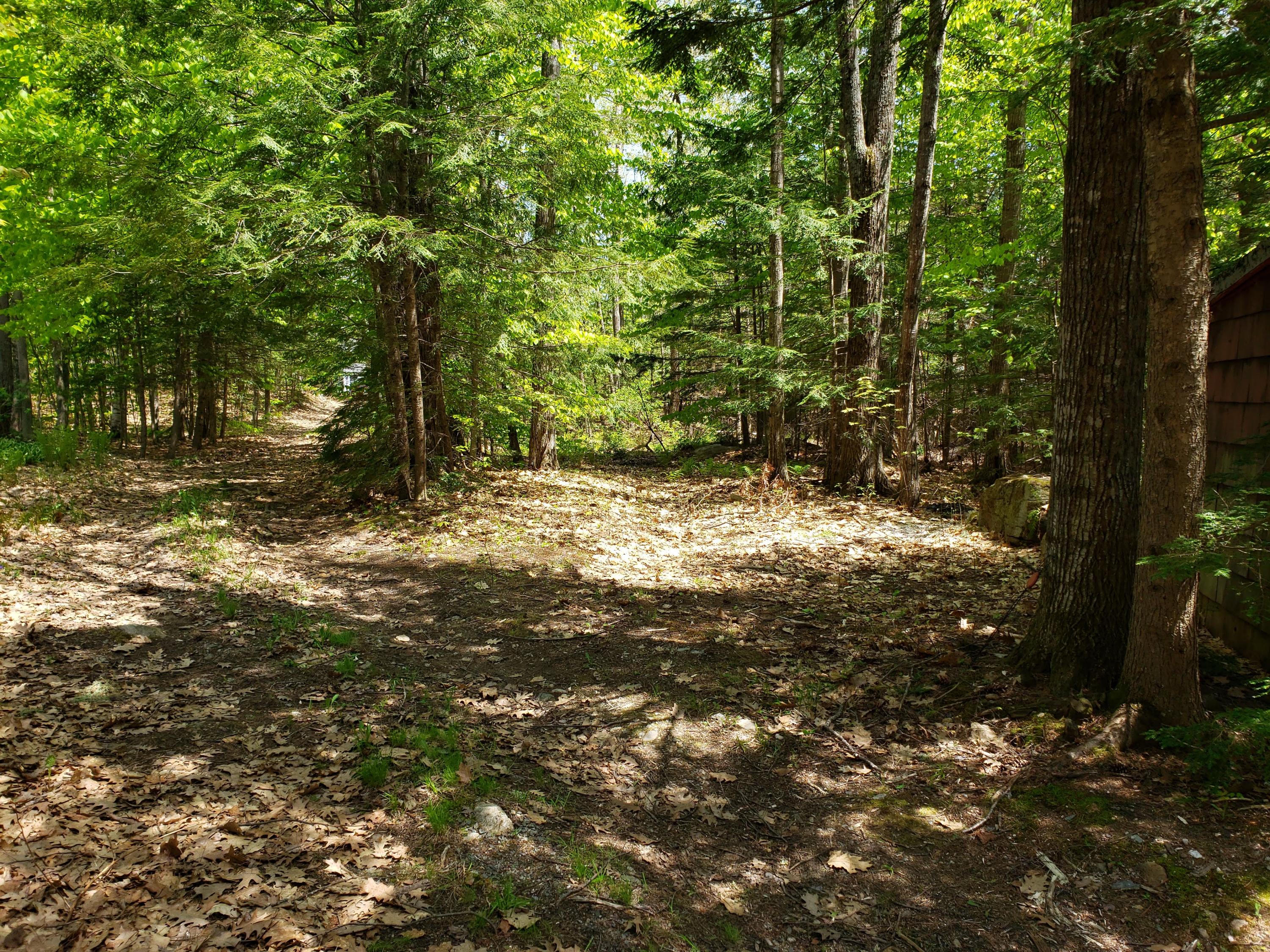286 Rayville Road Otisfield, ME 04270 - Photo 30 of 32 20190525_134746