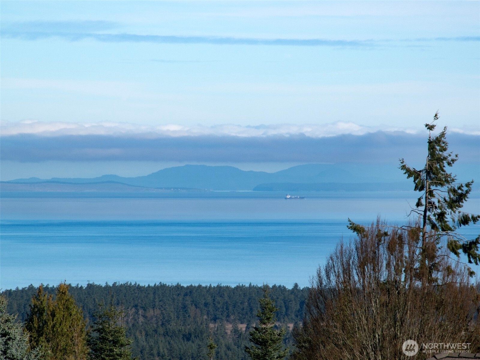 9999 Doe Run Road Sequim, WA 98382 - Photo 6 of 36