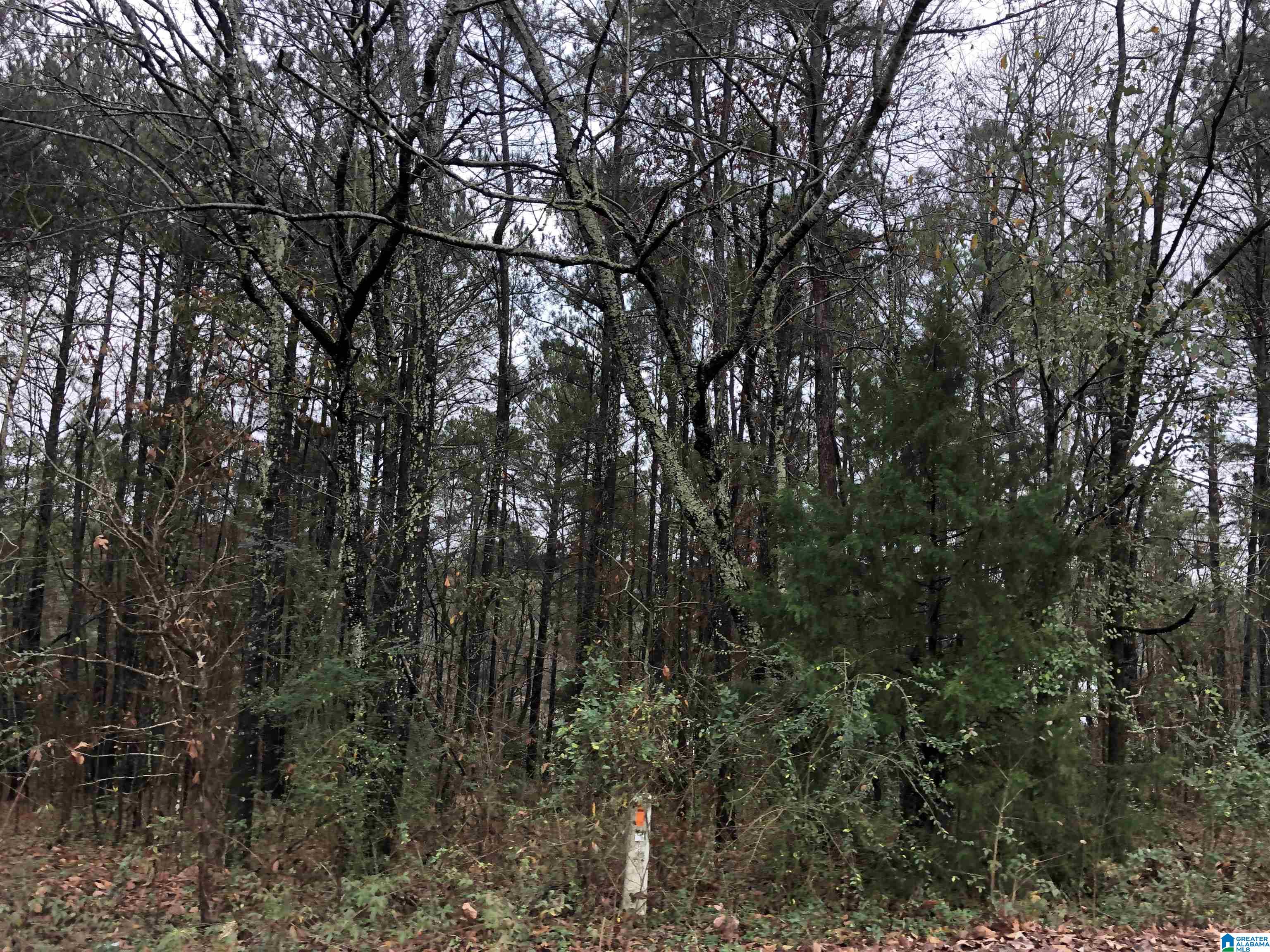 0 Autumn Ridge Trail, Unit 26 Pell City, AL 35128 - Photo 10 of 31