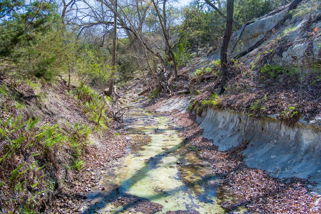 305 Teague Road Kerrville, TX 78028 - Photo 41 of 46