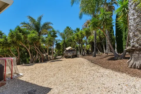 a view of a backyard with palm trees