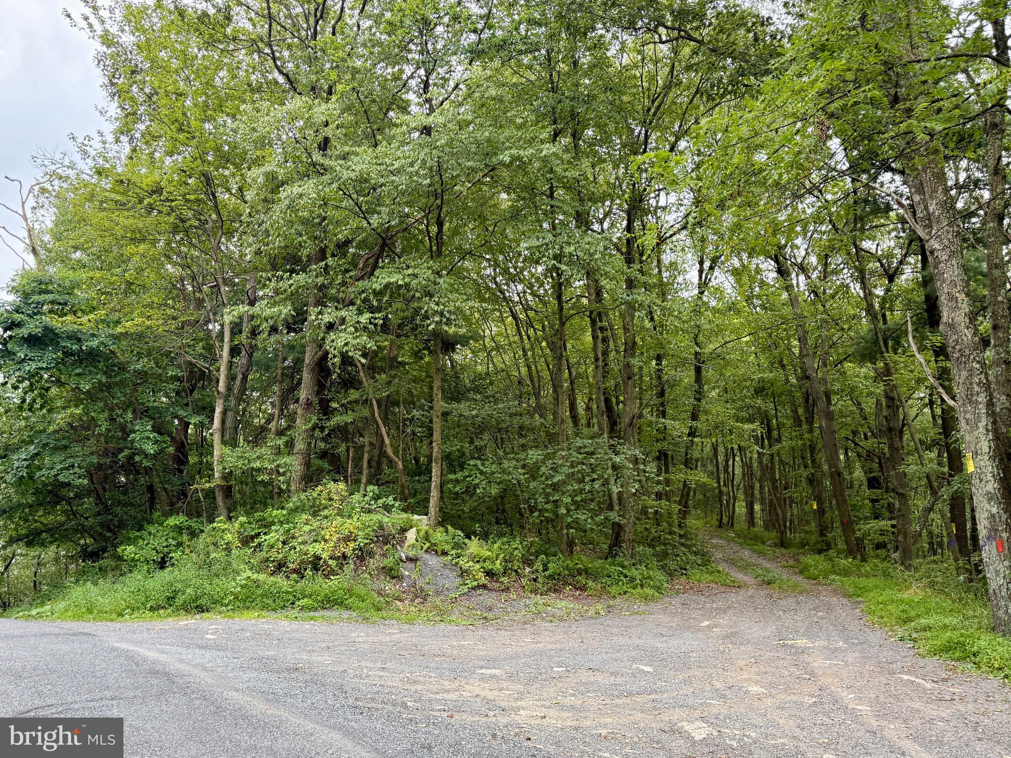 Mountain Road James Creek, PA 16657 - Photo 27 of 27