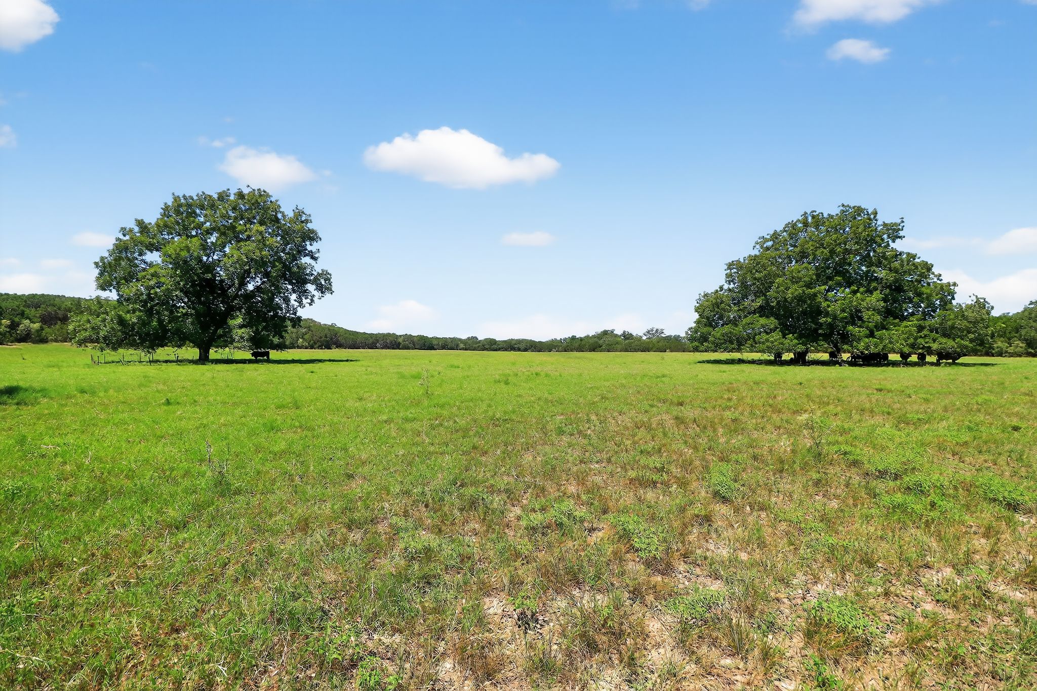 950 Ater Ranch Estates Bertram, TX 78605 - Photo 23 of 40 a view of a golf course with a lake