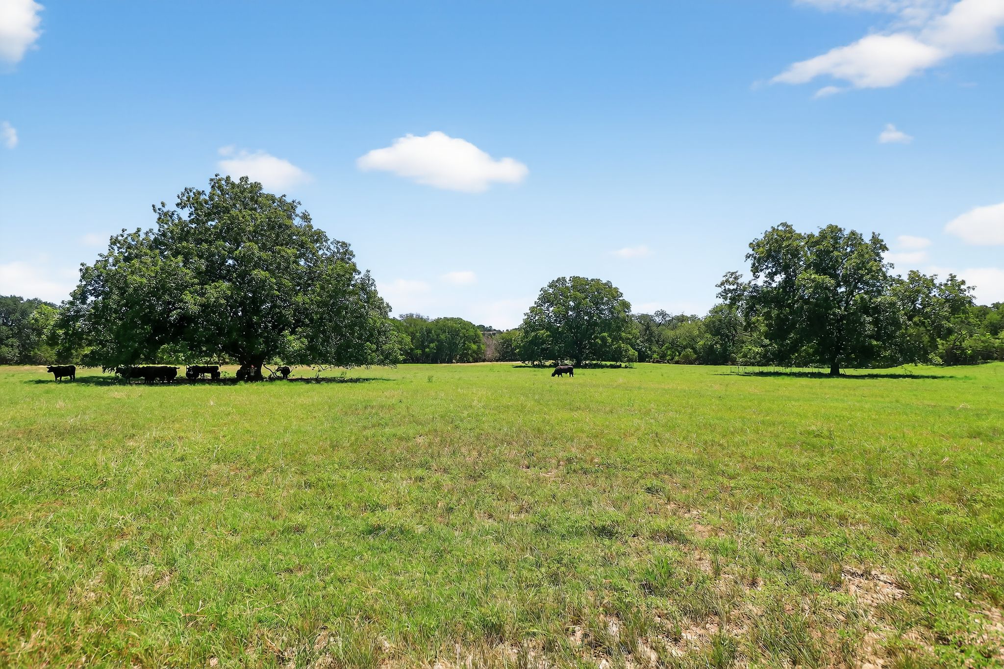 950 Ater Ranch Estates Bertram, TX 78605 - Photo 33 of 40 a view of a green field