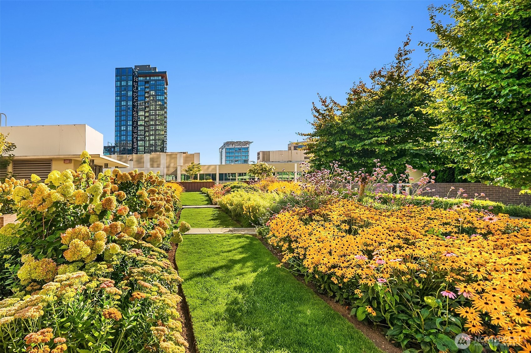 583 Battery Street, Unit 3002N Seattle, WA 98121 - Photo 20 of 39