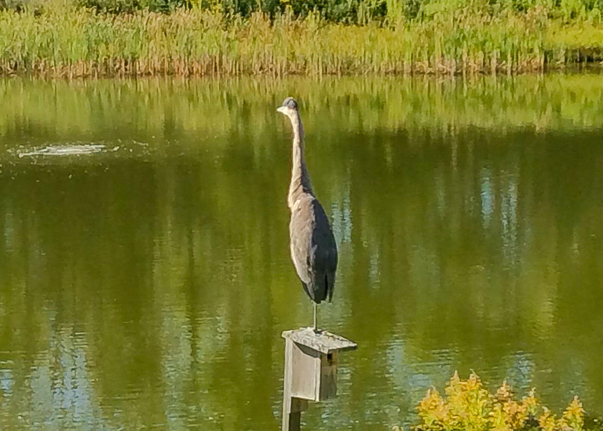 46 Kavanaugh Road, Unit 46 Old Orchard Beach, ME 04064 - Photo 39 of 45 46 Kavanaugh