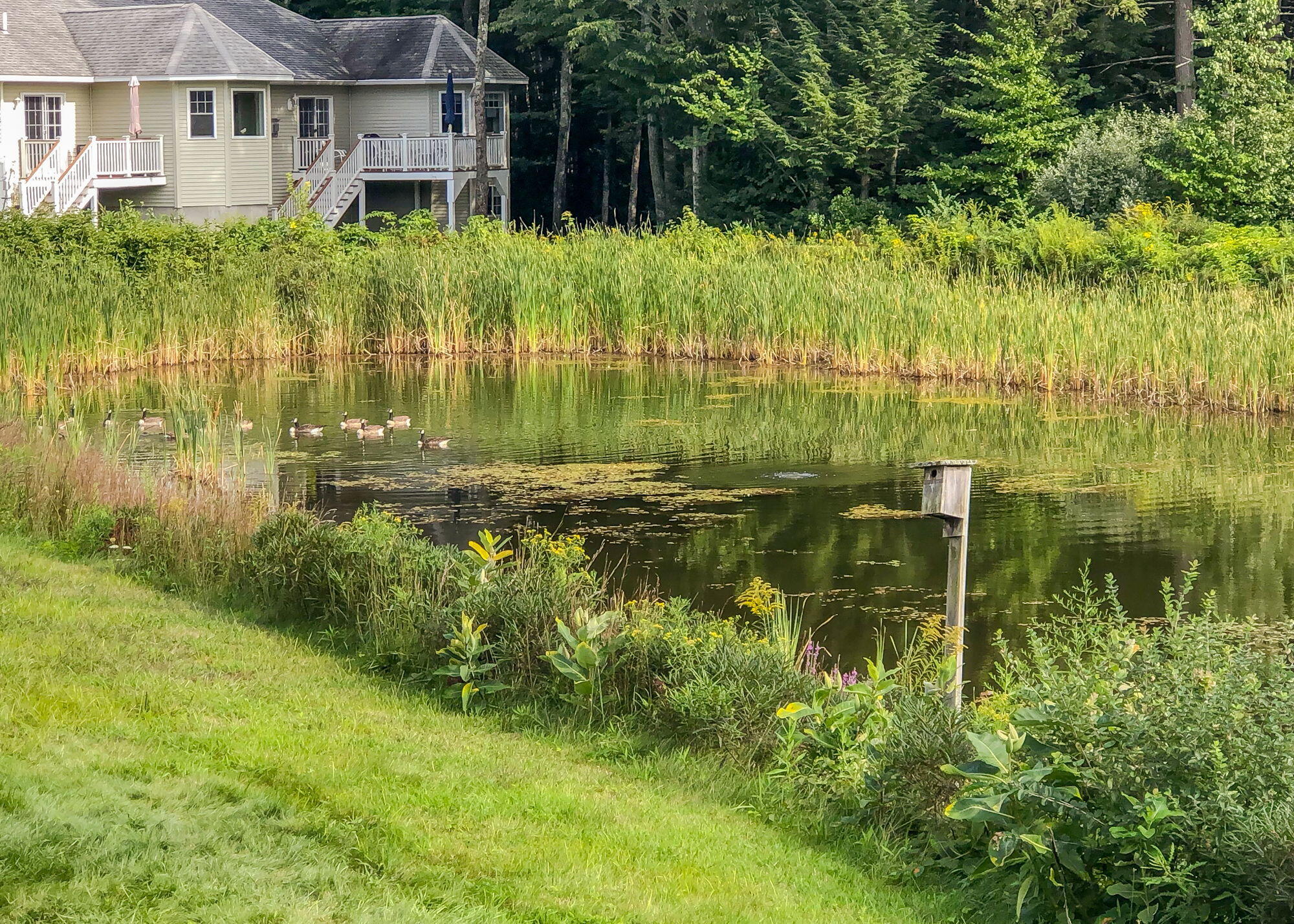 46 Kavanaugh Road, Unit 46 Old Orchard Beach, ME 04064 - Photo 42 of 45 46 Kavanaugh