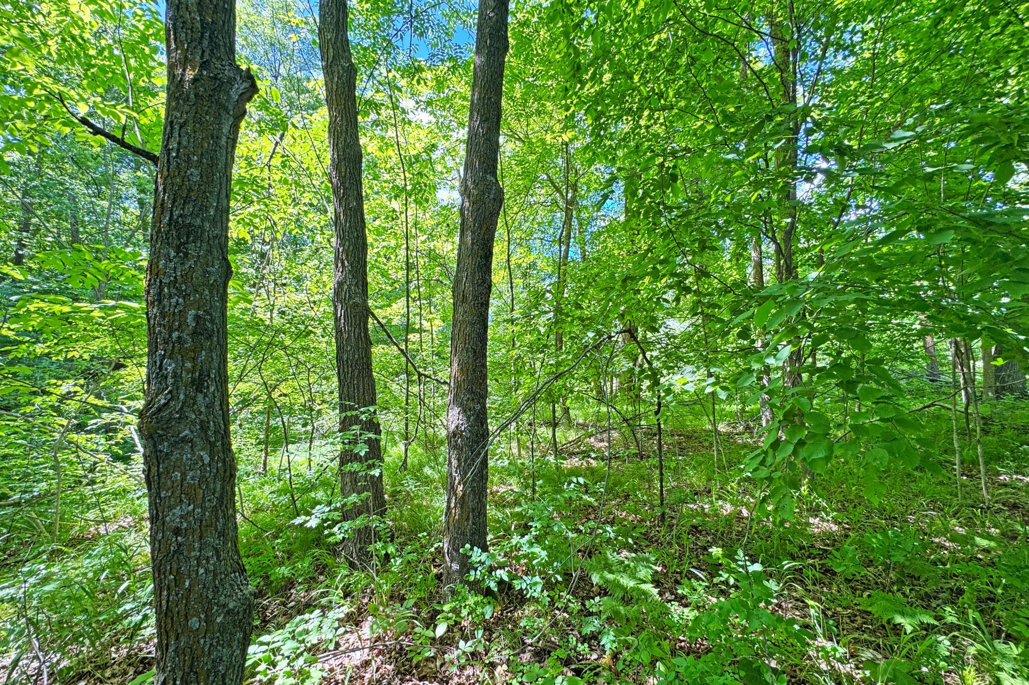 0 Perry Lake Road Crosby, MN 56441 - Photo 21 of 42