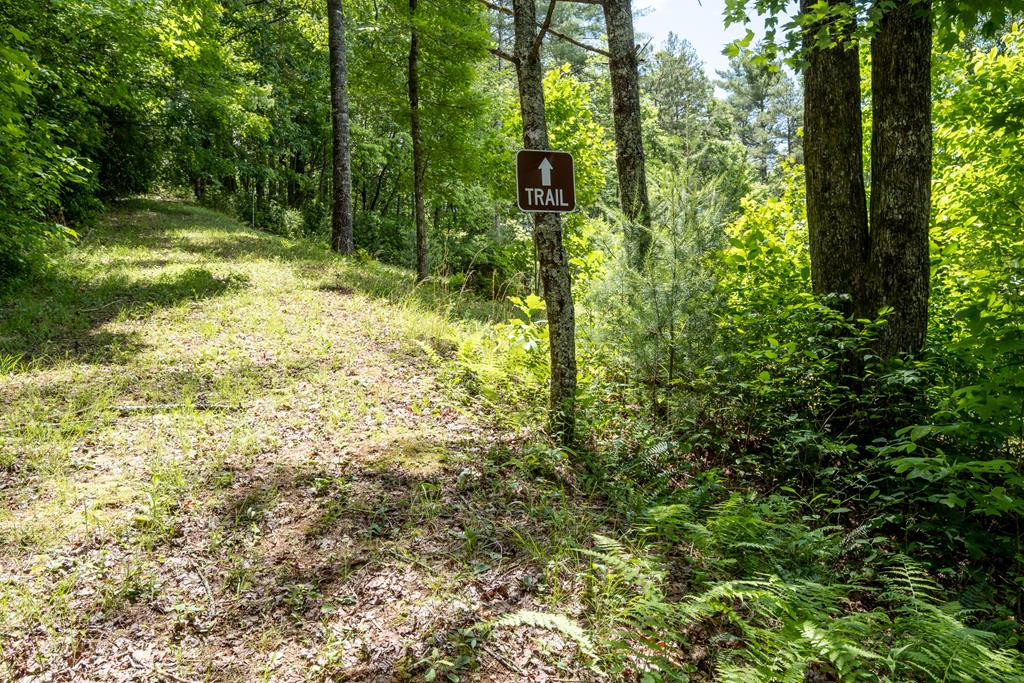 3774 Ebenezer Road Murphy, NC 28906 - Photo 55 of 72