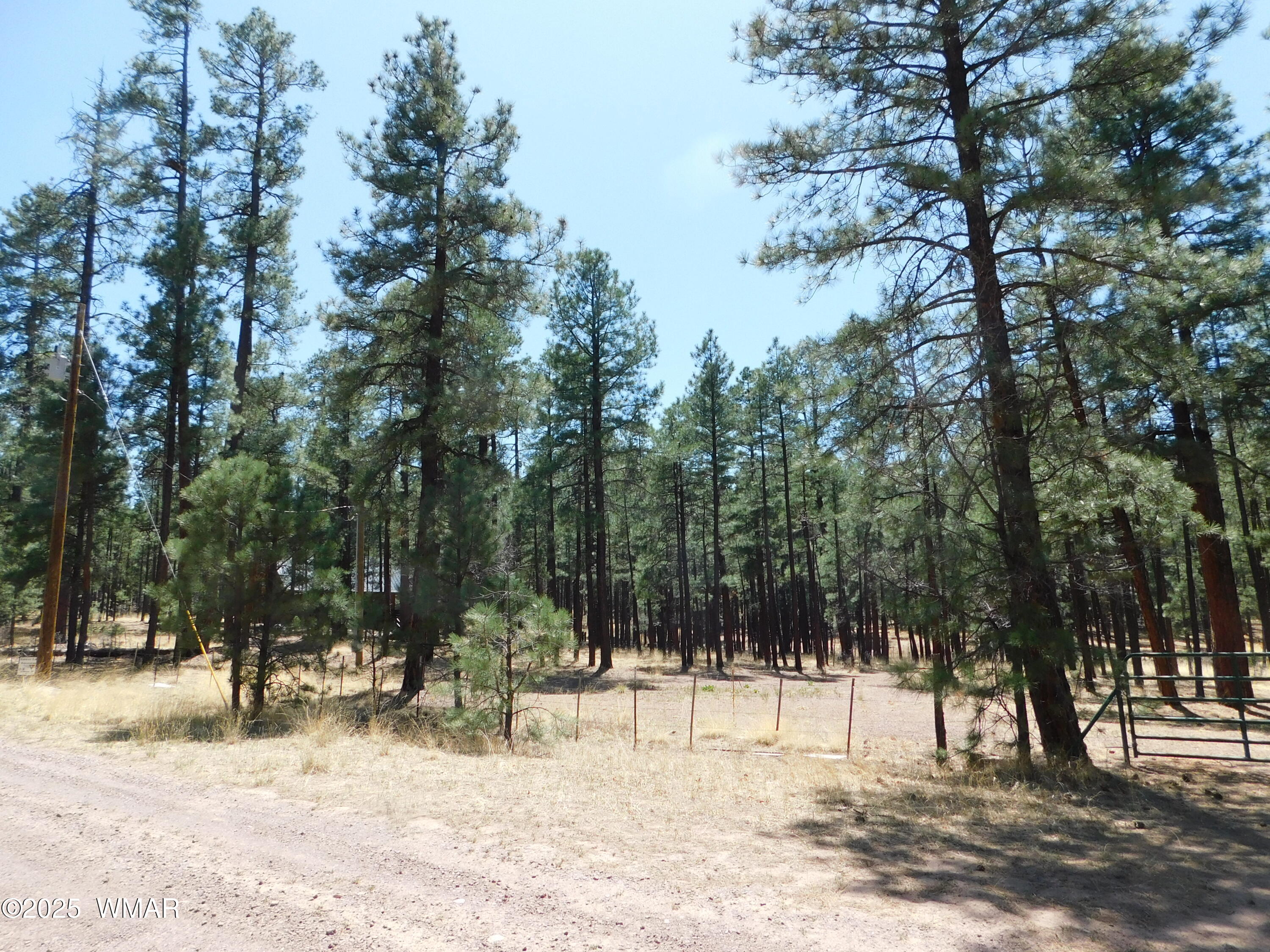 17 N2326 Alpine, AZ 85920 - Photo 1 of 17 a view of park with trees