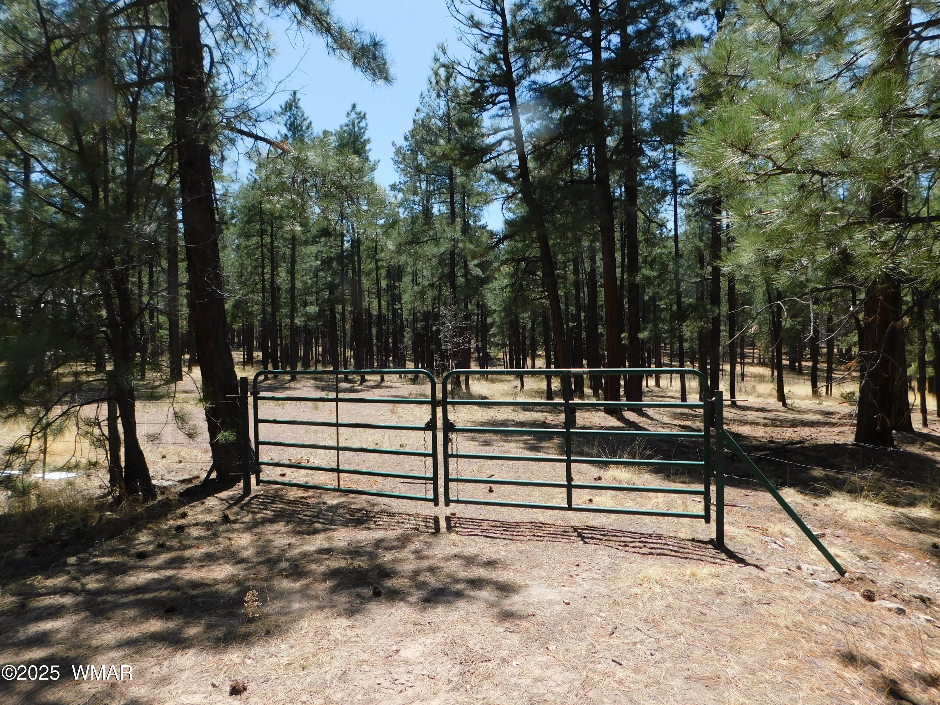 17 N2326 Alpine, AZ 85920 - Photo 2 of 17 a view of park benches