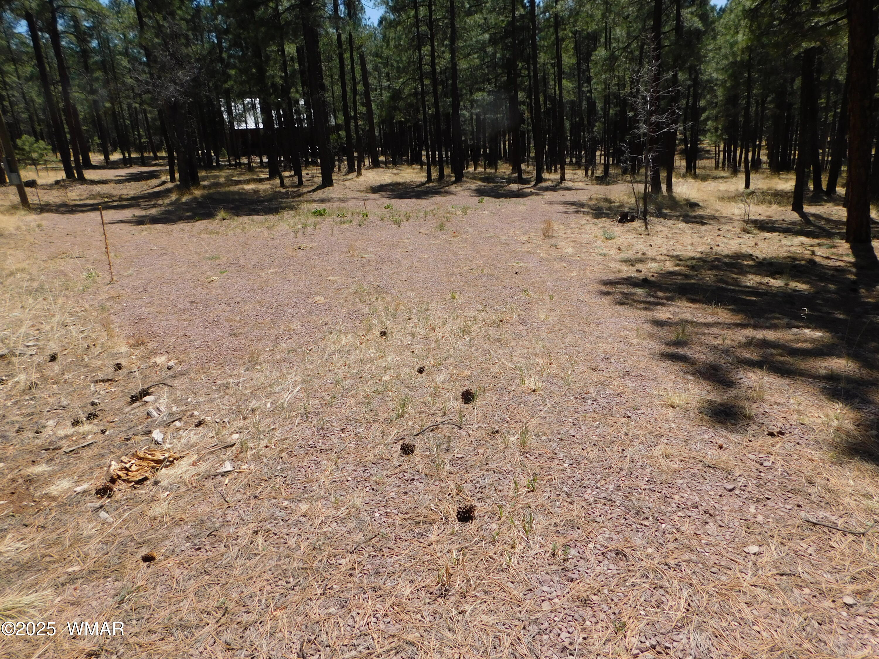 17 N2326 Alpine, AZ 85920 - Photo 3 of 17 a view of park with swings and trees