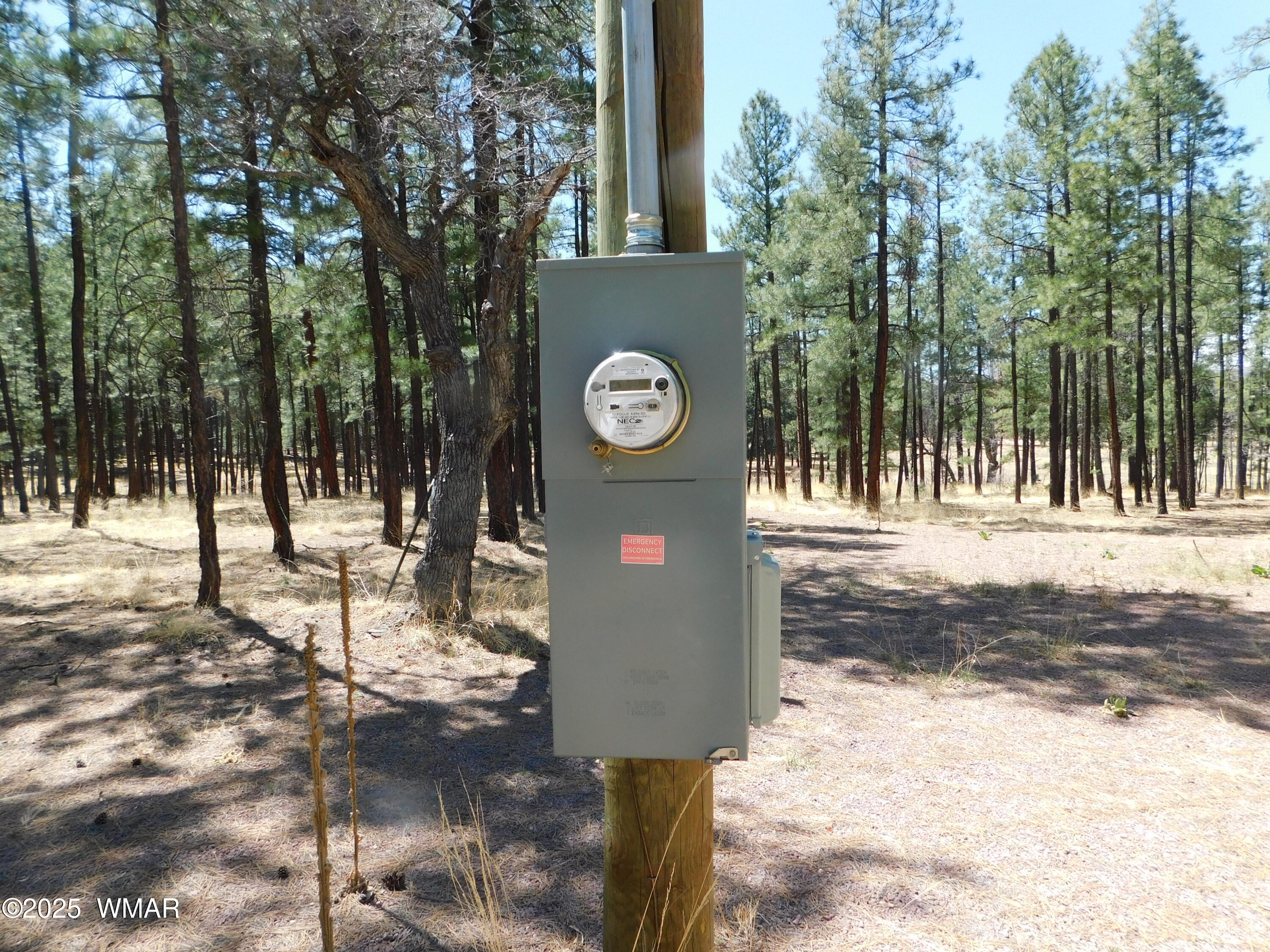 17 N2326 Alpine, AZ 85920 - Photo 5 of 17 a view of outdoor space with trees