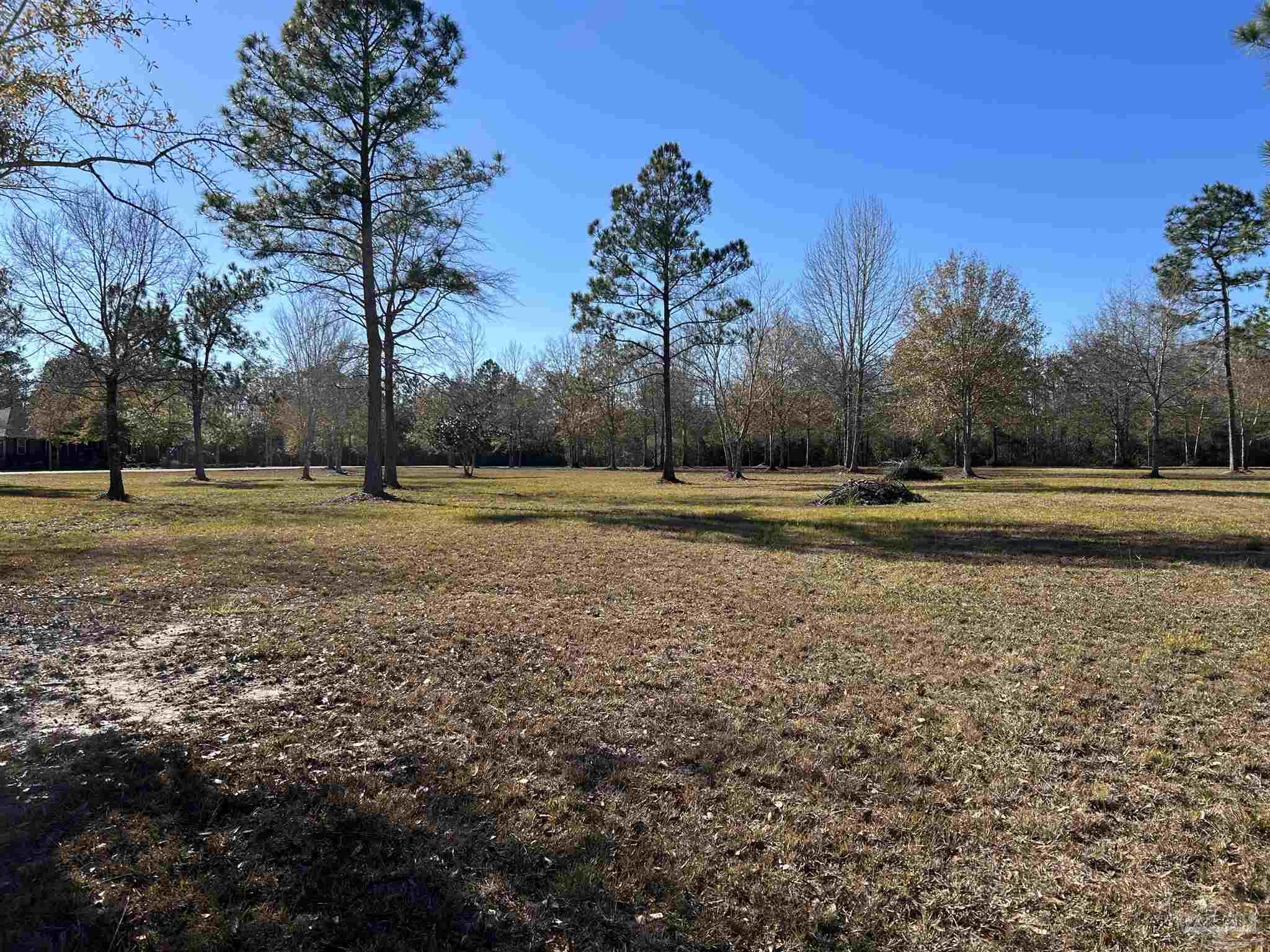 0 Serenity Spring Drive Pace, FL 32571 - Photo 2 of 6