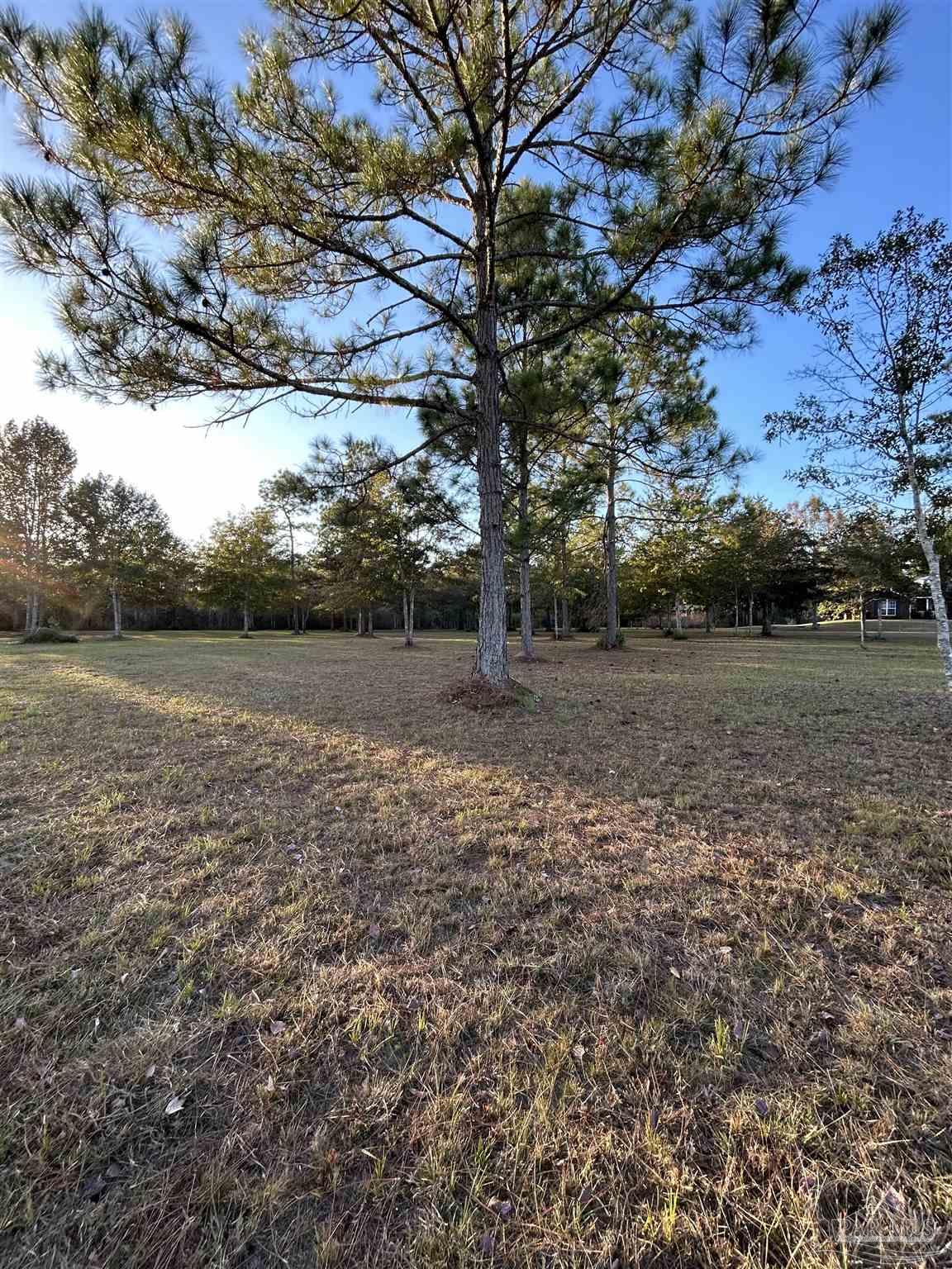 0 Serenity Spring Drive Pace, FL 32571 - Photo 3 of 6