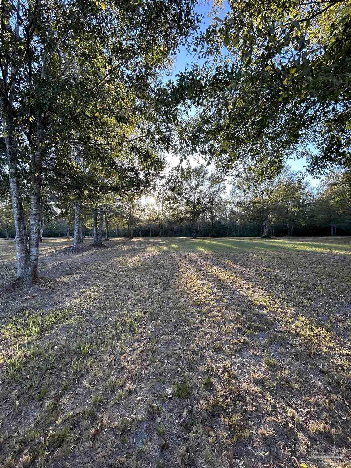 0 Serenity Spring Drive Pace, FL 32571 - Photo 4 of 6