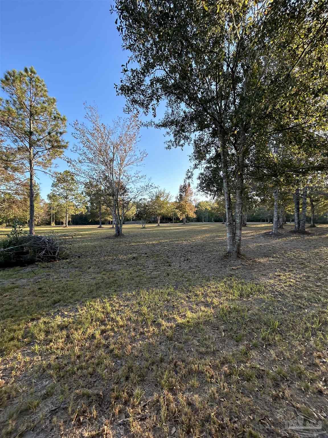 0 Serenity Spring Drive Pace, FL 32571 - Photo 5 of 6