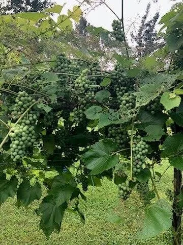 $644,444 | 4 Abbi Lane, Scarborough, ME 04074