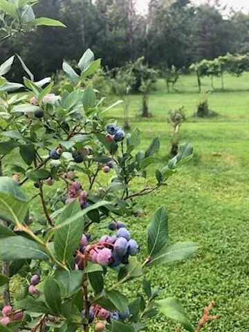 $644,444 | 4 Abbi Lane, Scarborough, ME 04074