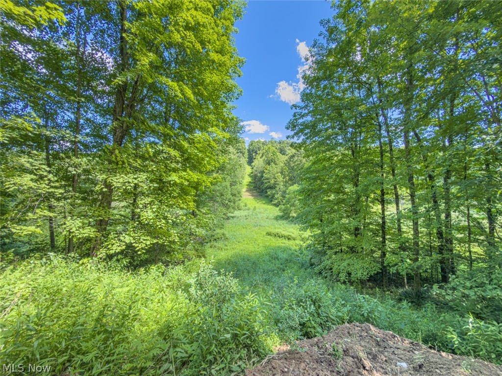 6985 Brush Run Road Cambridge, OH 43725 - Photo 41 of 50